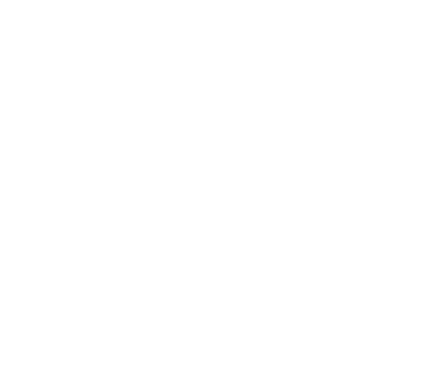 li-in-bug-2