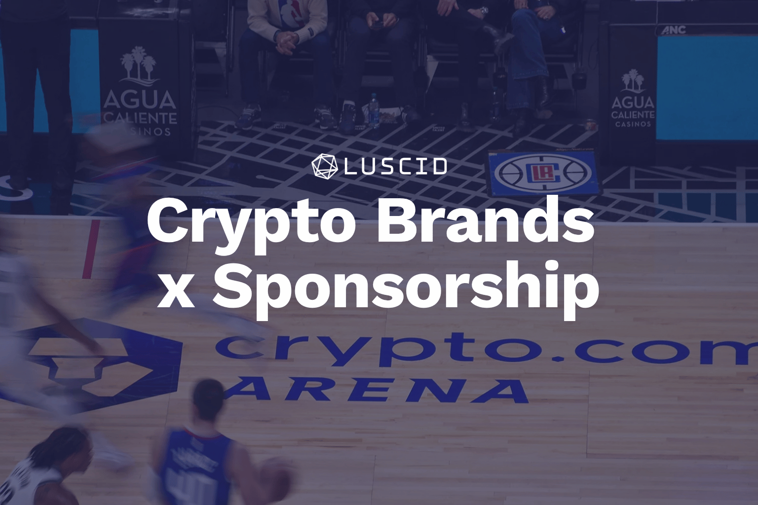 Why certain environments keep attracting the crypto category